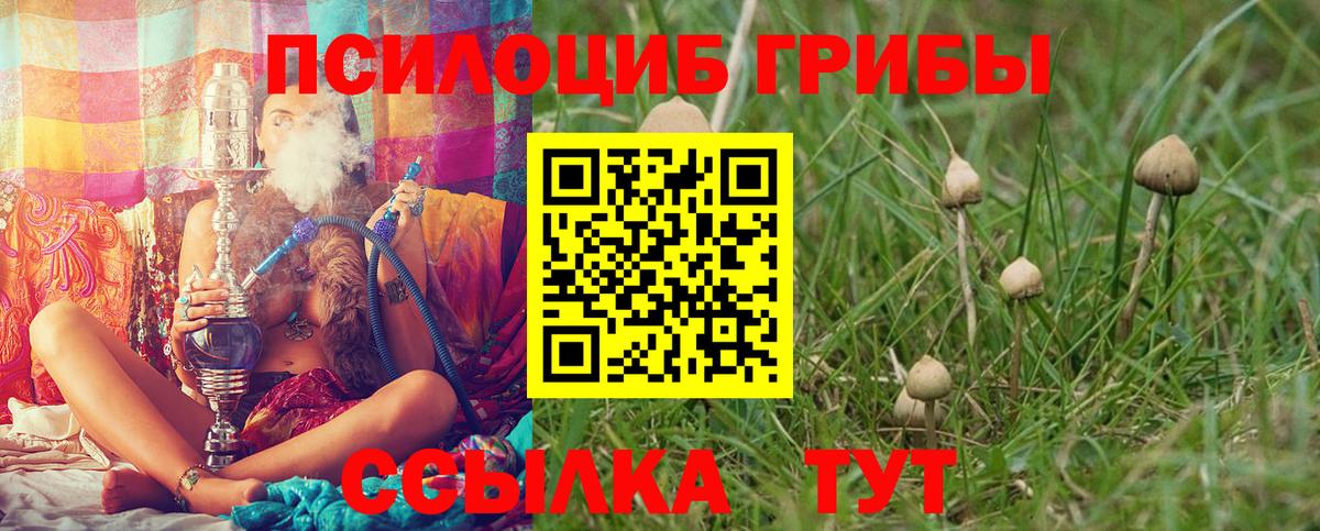 наркошоп  Псилоцибиновые грибы прущие грибы  Вход с VPN  Элиста 